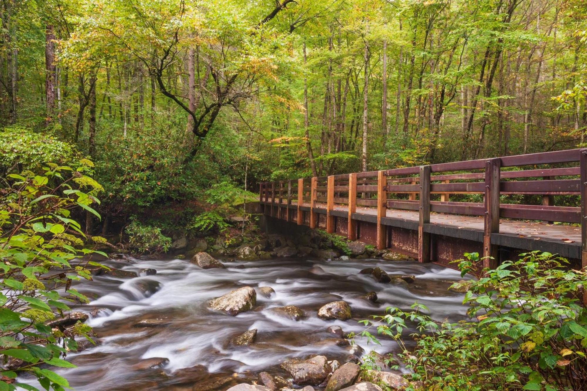 A Happy Cottage- Get 951 Worth Of Free Area Attraction Tickets For Each Paid Day! Pigeon Forge Bagian luar foto